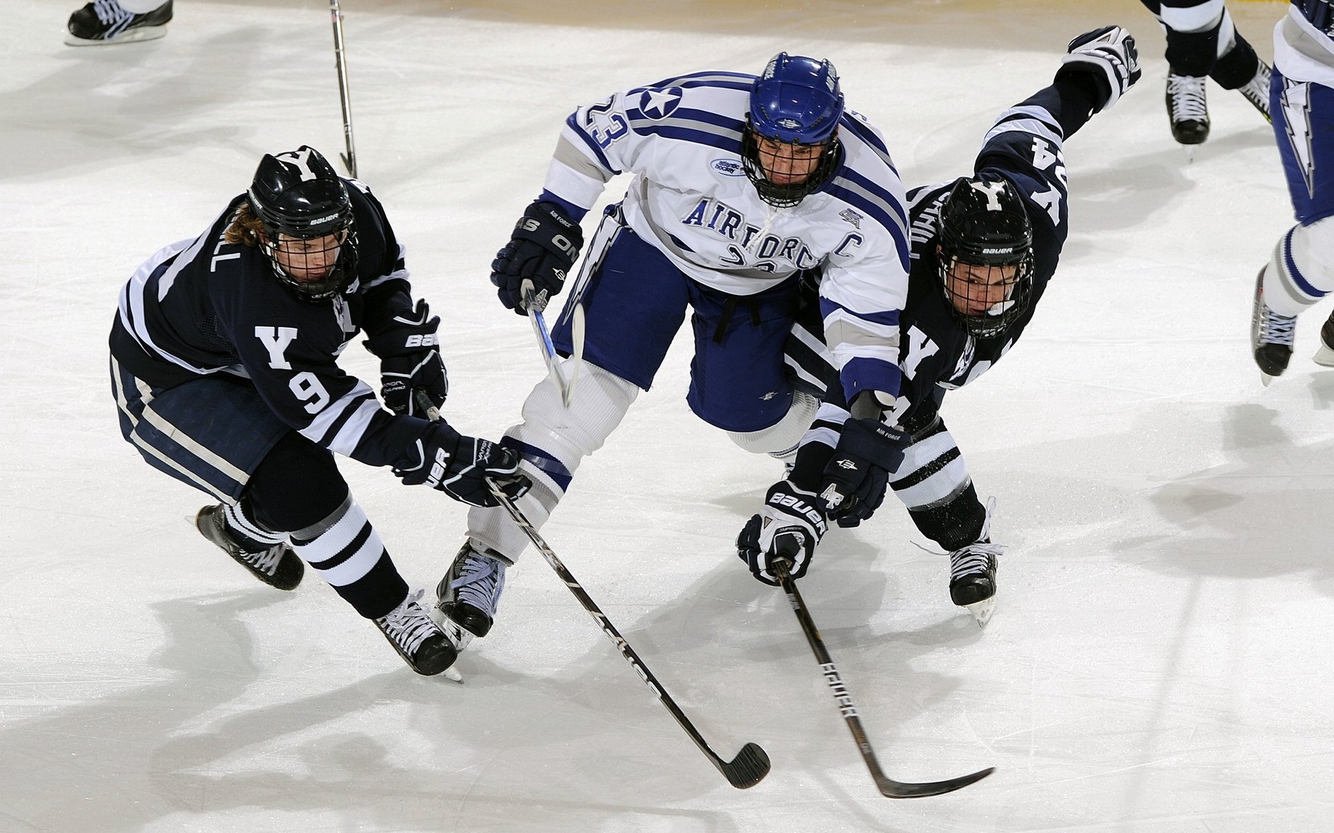 主帅阿迈德·本贾布执教重塑球队
