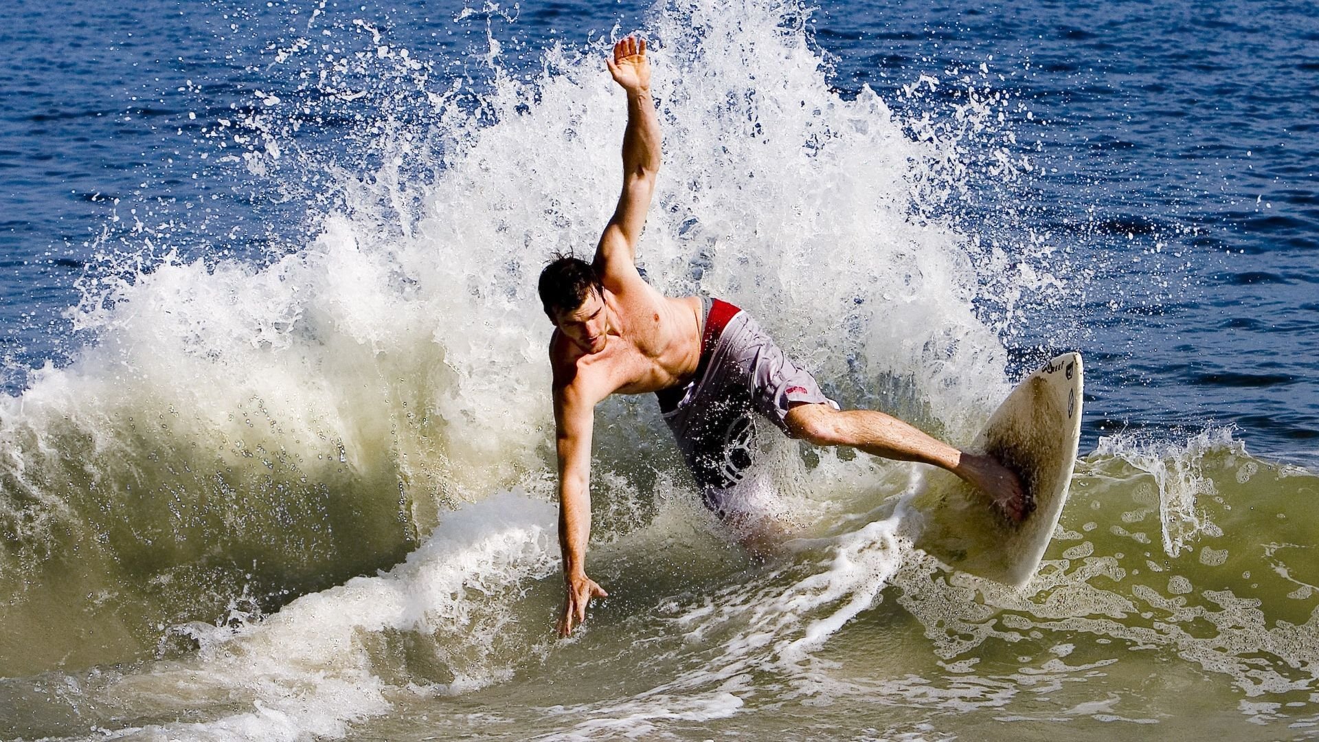 公牛主帅满意新援融入速度，公牛队新主教练